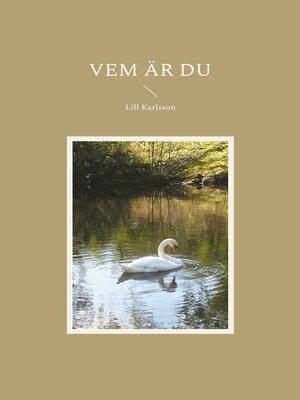 cover image of Vem är du